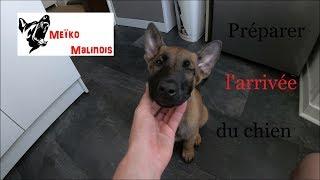 Bien préparer l'arrivée de son chien