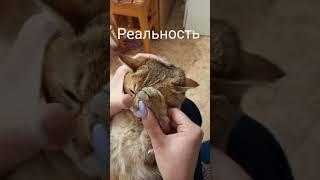 Позитив от Марселя. Ожидание и реальность. Челлендж.