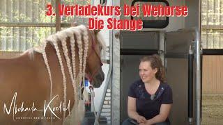 3. Verladekurs Wehorse - Die Stange