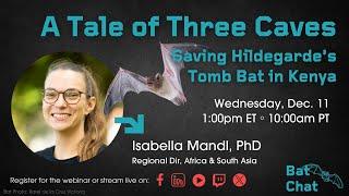 A Tale of Three Caves: Saving Hildegarde’s Tomb Bat in Kenya