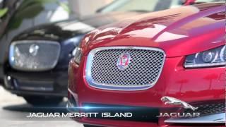 Stimulate Desire at Jaguar Merritt Island