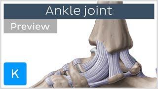 Ankle joint: bones and ligaments (preview) - Human Anatomy | Kenhub