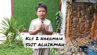 #Sambut_Muharram_SditAlhikmahCipayung | Azmi Putra Kurniawan | Kelas 2 Haromain | Asmaul Husna