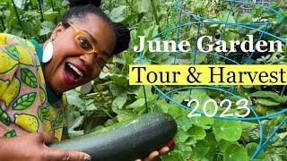 End of June Garden Tour + Harvest 2023 | Suburban Small Space Vegetable Gardening | OCDish Chick