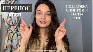 КРИОПЕРЕНОС (1-11дпп) Поддержка.Симптомы.Тесты.ХГЧ