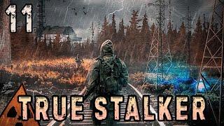 Старая Гвардия - TRUE STALKER #11