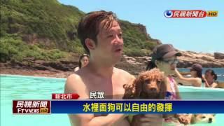 龍洞寵物海水游泳池  毛小孩戲水趣－民視新聞