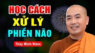 Học Cách Xử Lý Phiền Não (Cực Hay) - Thầy Minh Niệm