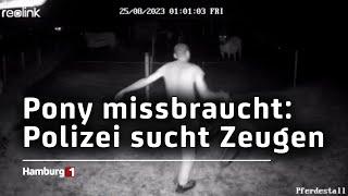 Nach Missbrauch eines Ponys: Polizei sucht Zeugen