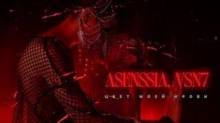 Asenssia, VSN7 - Цвет моей крови (Official Video)