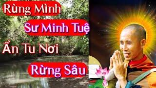 Rùng Mình Sư Minh Tuệ Ẩn Tu Tận Rừng Sâu Đón Mùa An Cư Kiết Hạ #tuannet