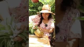 How To Grow A $50 Pineapple!