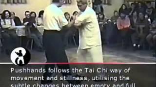 Wu Tai Chi Chuan 吴式太极拳2