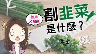 [蕾咪] 3大韭菜特徵！你被割了嗎？為何股票套牢、被割韭菜總是發生在散戶身上？