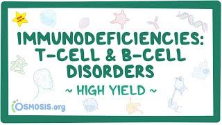 Immunodeficiencies: T-cell and B-cell disorders: Pathology review