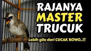 TRUCUK GACOR DOORR|| Cucak Rowo Lewat‼️