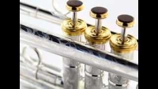 Custom Trumpet "Evelynn" by Best American Craftsman (B.A.C.) through rentMYinstrument.com