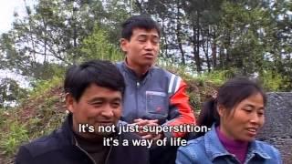 QingMing