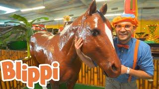 Blippi Explores Jungle Animals!! | Animals for Kids | Educational Videos For Kids