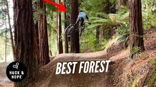 Whakarewarewa FOREST MTB Trails