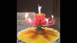 Lotus Candle Wax Single Layer Magic Musical Happy Birthday