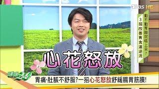 胃痛、肚脹不舒服？一招心花怒放舒緩腸胃筋膜！ 健康2.0