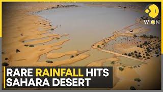 Sahara Desert Witness First Floods In 50 Years | World News | WION