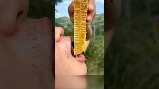 Мёд выжимают, как сок! Ты знал?