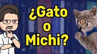 ¿Por qué le decimos "Michi" a los gatos? 