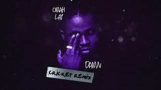 Omah Lay - Damn [Cricket Remix] (Official Audio)