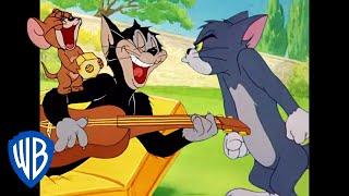 Tom & Jerry | Tom and Butch - Friends or Foes?  | Classic Cartoon Compilation | WB Kids