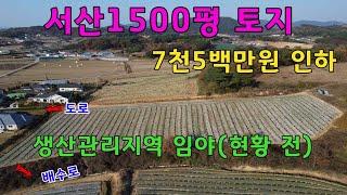 [물건번호 338번]생산관리지역 임야(현황전)1500평 입니다. 전원주택단지에 위치해서 기반시설 인입가능하며 지목변경후 체류형쉼터로 분양하셔도 좋을듯 합니다