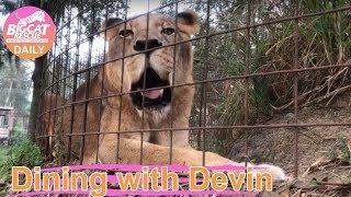 Dining with Devin~ Feeding Cameron and Zabu 11132018