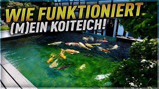 Wie funktioniert (M)ein Koiteich? Koiteich professionell planen auf www.koiteich-planung.net