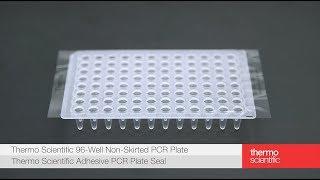 Learn how to seal a Thermo Scientific PCR plate