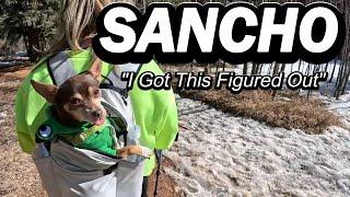 Hiking Adventure with Sancho