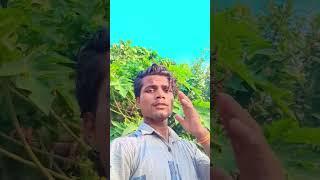sujit kumar thakur