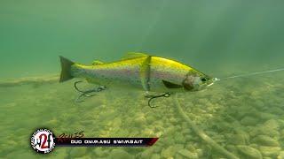 Duo Realis Onimasu Swimbait Underwater Video