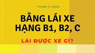 Bằng lái xe hạng B1, B2 và C lái được xe gì?