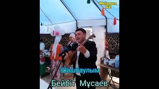 Шашбаулым — Бейбіт  Мұсаев