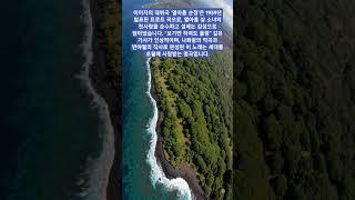 이미자의 ‘열아홉 순정’은 1959년 발표된 데뷔곡으로, 열아홉 소녀의 순수한 첫사랑을 감성적으로 그려낸 트로트입니다. 이 곡은 세대를 넘어 많은 사랑을 받고 있습니다.