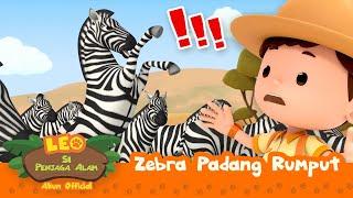 Zebra Padang Rumput | Leo Si Penjaga Alam | #minisode