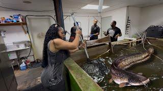 Catch, Clean, & Cook At Williyby's Catfish | New Orleans