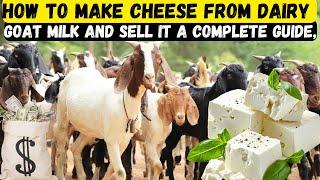 How to Make Cheese from Dairy Goat Milk and Sell It A Complete Guide