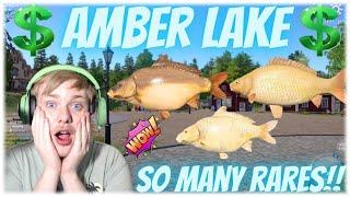 Russian Fishing 4 Amber Lake Extremely Active Spot (Broken Spot)
