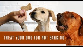 Barking dog sounds / noise desensitization for puppies and dogs