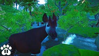 Making a Sustainable Okapi Habitat in our Eco-Zoo | Planet Zoo Franchise Mode Ep12