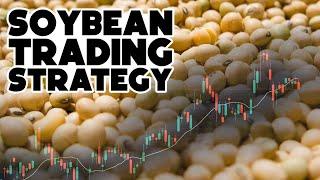 Soybean Trading Strategies I | Tim Black | Trading Strategy Guides