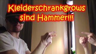 Warum Minigrows HAMMER sind | 4 unerwartete Benefits