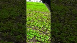 #arsh #music #farmer #like #subscribe #share #comments #what'syourmind